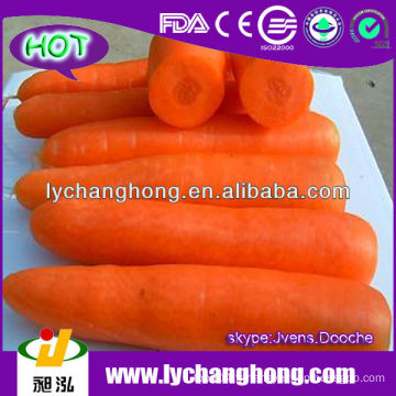 2014 Nouvelle carotte de Chine 10kg / ctn